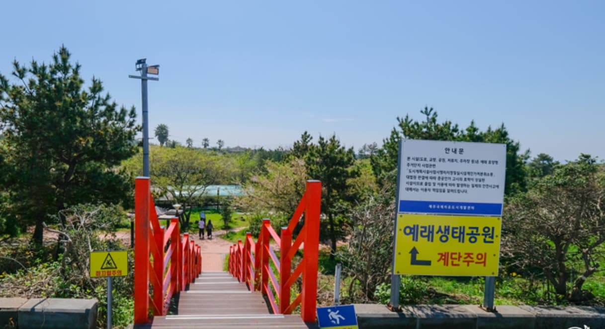 제주 서귀포 중문, 예래생태공원에서의 힐링 여행
