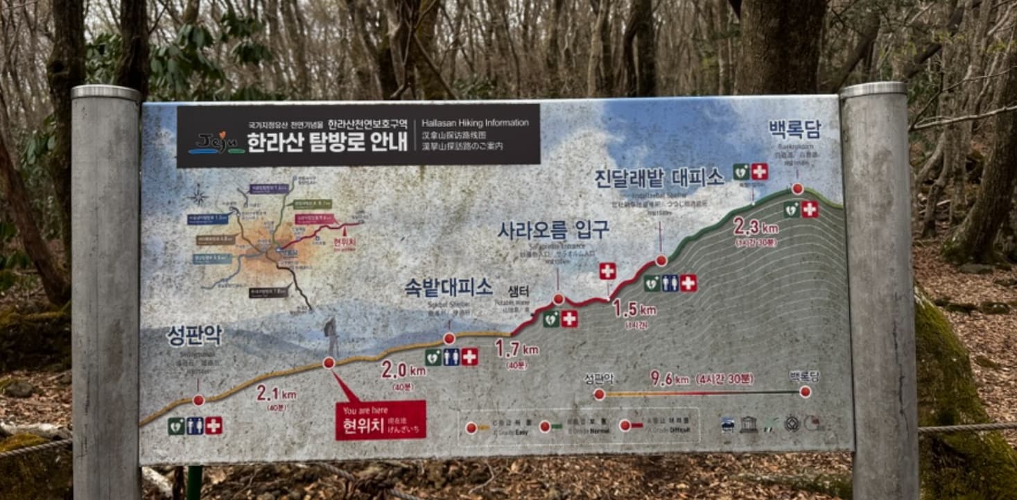봄의 한라산, 하루에 담은 진풍경